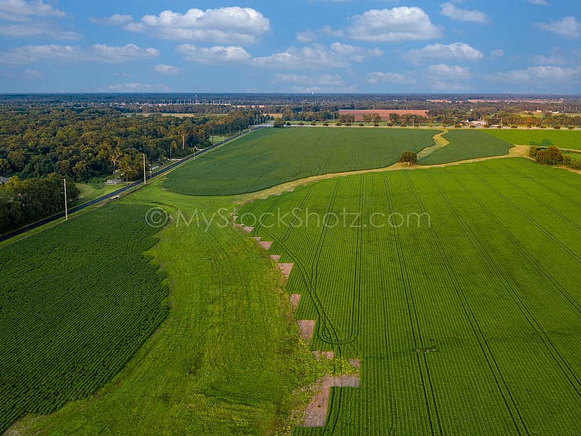 Farmland Aerial